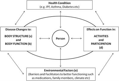 World Health Organization (WHO) International Classification of Functioning, Disability and Health (ICF) Core Set Development for Interstitial Lung Disease